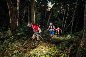 BIB: 
                            <button type="button" onclick="openModal(22424791)" class="btn btn-primary btn-sm float-right btn-popup" data-toggle="modal" data-target=".modal-high-quality">
                        <i class="fas fa-shopping-cart"></i> Add to Cart
                    </button>
                                            <button type="button" onclick="isThisMe(22424791, true)" class="btn btn-success btn-sm float-right btn-popup btn-isme hidden" data-toggle="tooltip" data-placement="bottom" title="นี่คือรูปของคุณใช่ไหม คลิกที่นี่เพื่อเอาเข้าอัลบั้ม">
                        <i class="fas fa-plus"></i> Add to album
                    </button>
                    <button type="button" onclick="isThisMe(22424791, false)" class="btn btn-warning btn-sm float-right btn-popup btn-isnotme hidden">
                        <i class="fas fa-ban"></i> Remove from album
                    </button>